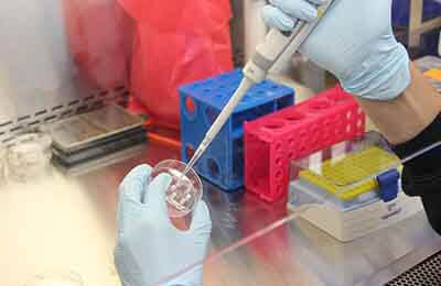 科學發展技術