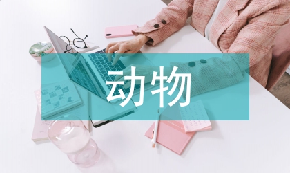 動物醫(yī)學技術(shù)