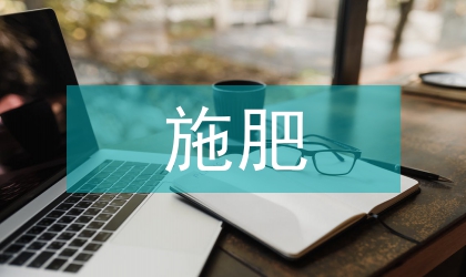 不同施肥處理對蕎麥經濟的影響