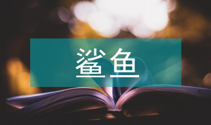 遭鯊魚襲擊和誤捕的小須鯨幼仔