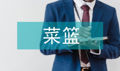 地區菜籃子項目情況報告