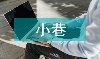 中小城市背街小巷整治對策