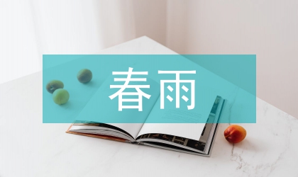 地稅局春雨行動經驗交流