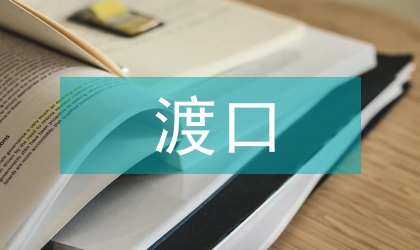 渡口渡船安全治理方案