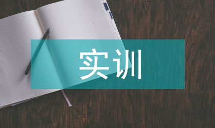 人力實訓(xùn)報告