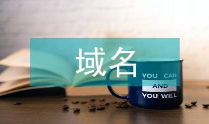 域名產權保護