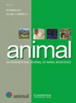 Animal雜志