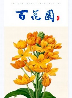 百花園雜志