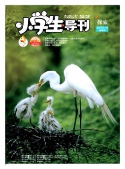 小學生導刊·中年級