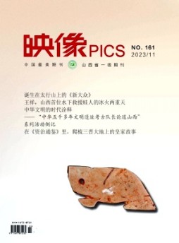 映像雜志